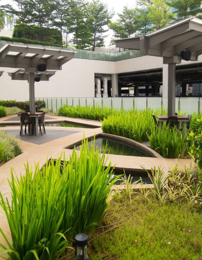 Patient consultation